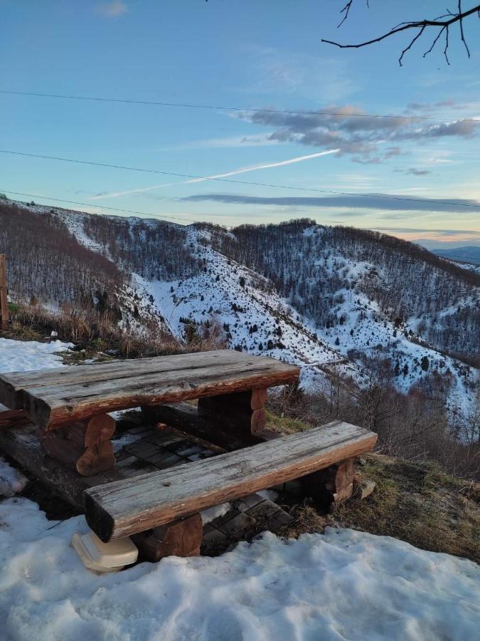 Milmari N 79 Apartman Kopaonik Kültér fotó